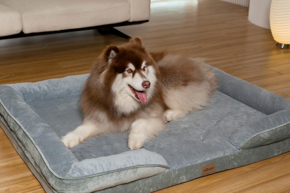 Ultimate Comfort: Review of the Orthopedic Dog Bed for Large Breeds