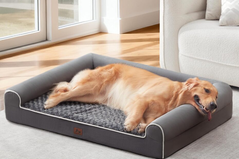 Ultimate Comfort: Review of the Orthopedic Large Dog Bed for Extra Large Pets