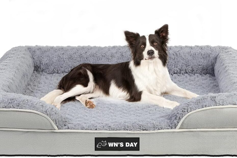 Ultimate Comfort: Review of the Orthopedic Memory Foam Dog Bed for Medium to Large Pooches