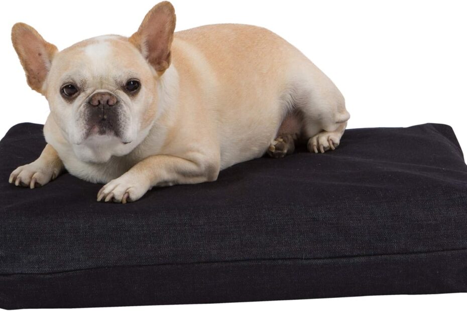 Ultimate Comfort: Review of the Pet Support Systems Orthopedic Dog Bed