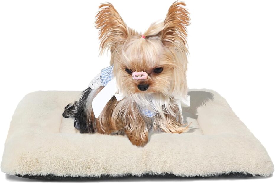 Ultimate Comfort: The Best 18-Inch Puppy Bed for Crates!