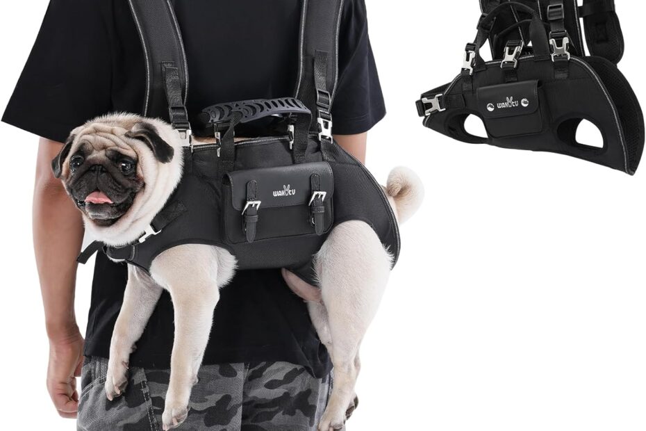 Ultimate Comfort: The Best Dog Backpack Carrier for Disabled Pups