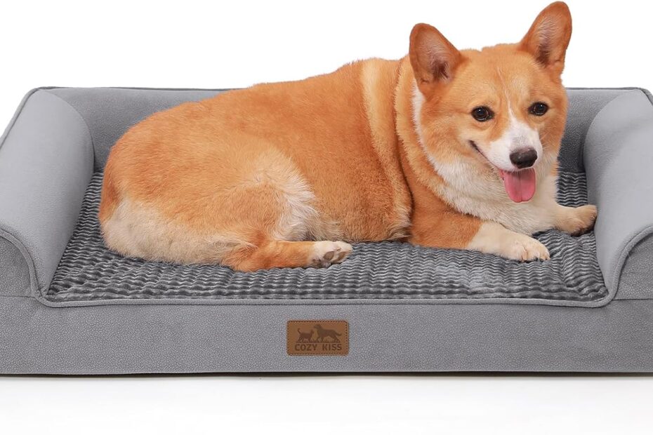Ultimate Comfort: The Best Orthopedic Dog Bed for Large and Medium Pups