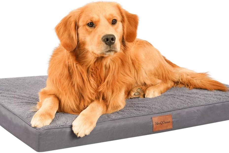 Ultimate Comfort: The Best Waterproof XLarge Dog Bed for Your Large Pup!