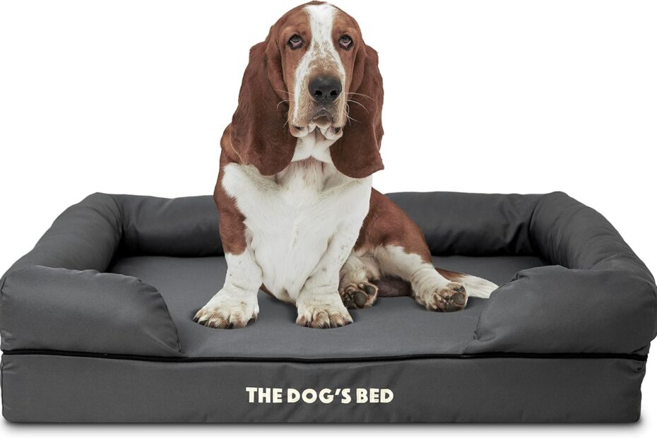 Ultimate Comfort: The Dog’s Bed for Pain Relief & Support