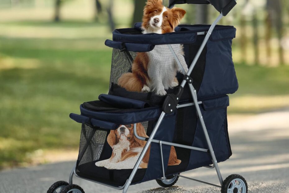 Ultimate Comfort: The Double Dog Stroller Review for Small Pups!