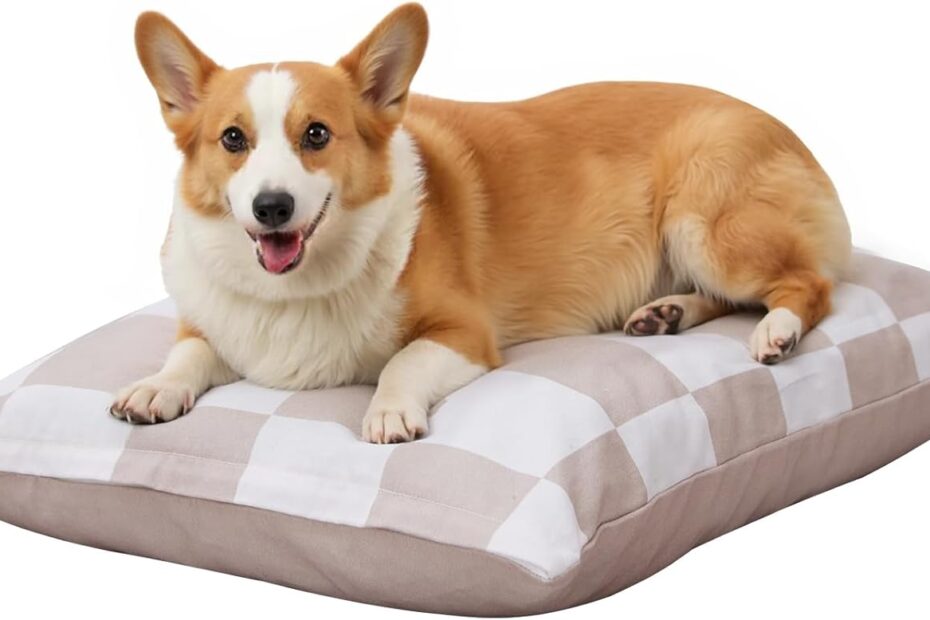 Ultimate Comfort: The Medium Dog Bed That Reinvents Relaxation for Small Dogs!