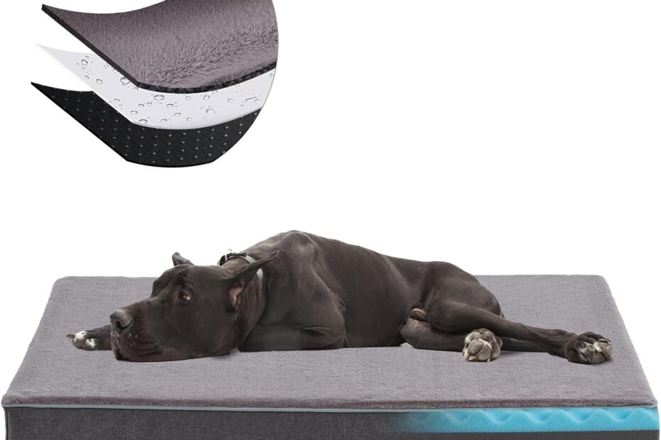 Ultimate Comfort: The Orthopedic Memory Foam Dog Bed for Extra Large Dogs Reviewed!