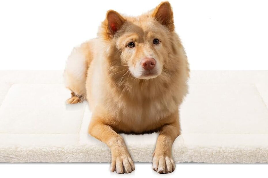 Ultimate Comfort: The Perfect Dog Mat for All Breeds!