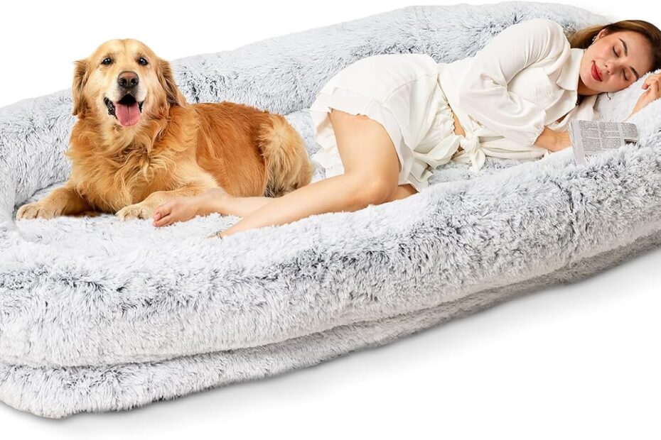 Ultimate Comfort: The XL Human Dog Bed Review for You and Your Pup!