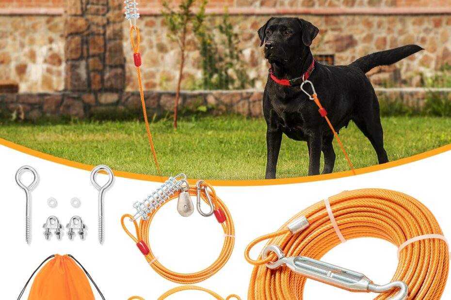 Ultimate Freedom: 100FT Dog Tie Out Cable Review for Outdoor Adventures