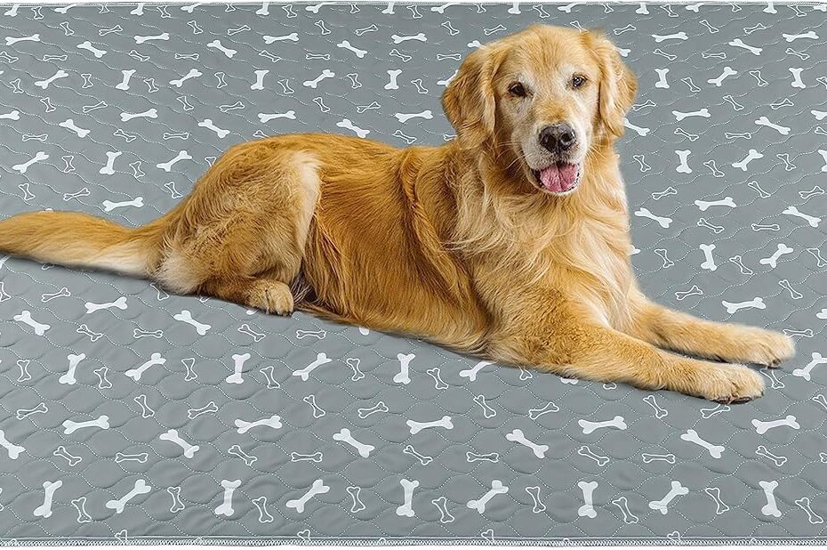 Ultimate Guide to Washable Dog Pee Pads: Eco-Friendly Training Solutions