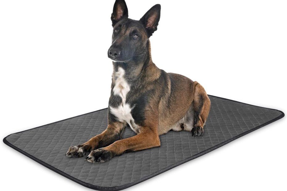 Ultimate Protection: The Indestructible Dog Crate Bed for Aggressive Chewers