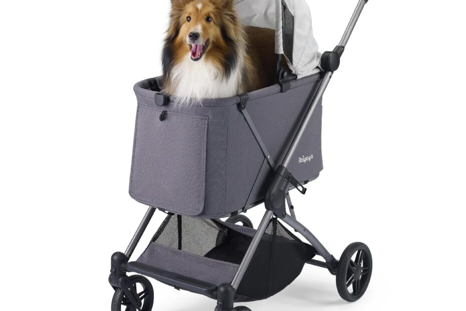 Unleash Adventure: Review of the ibiyaya Maxi Deep Pet Stroller for Cats and Small Dogs
