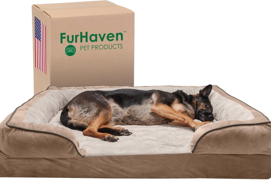 Unleash Comfort: A Review of the Furhaven Jumbo Plus Memory Foam Dog Bed