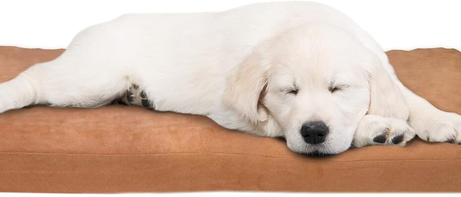 Unleash Comfort: The Ultimate Review of the Petmaker Orthopedic Dog Bed