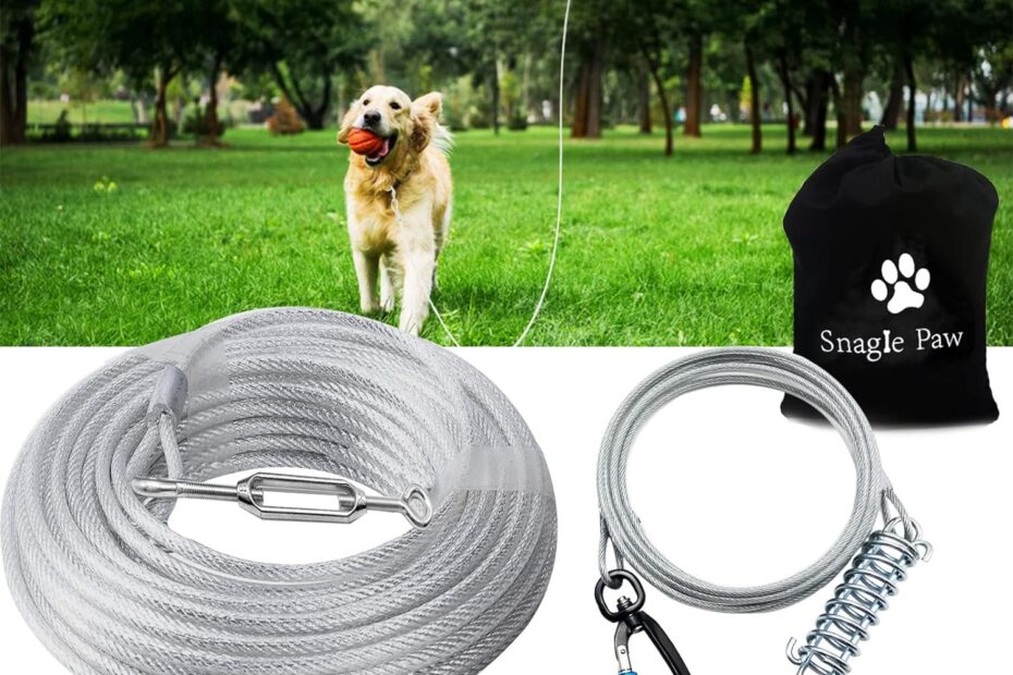Unleash Freedom: The Ultimate Dog Tie Out Runner for Every Adventure!