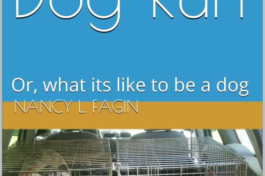 Unleashing Adventure: A Review of 'Three Dog Run'