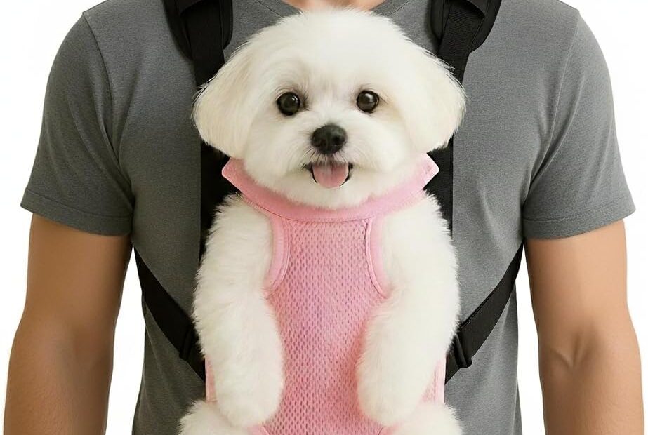 Adventure Ready: Inspack Dog & Cat Carrier for Travel Lovers!