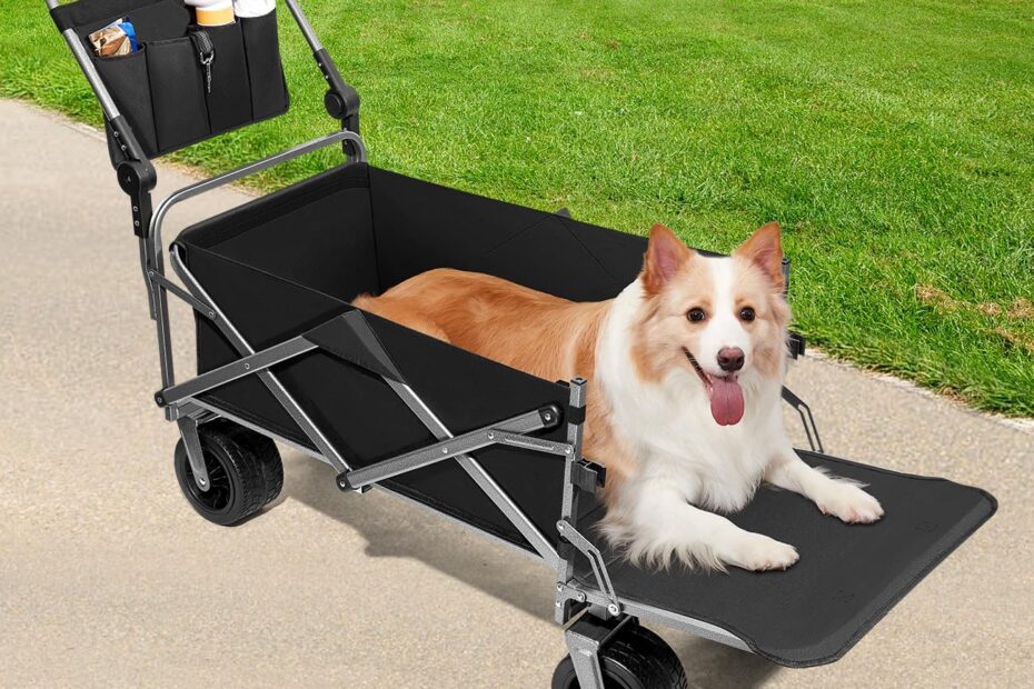 Comfort on the Go: Review of the Large Dog Stroller for Active Pups!