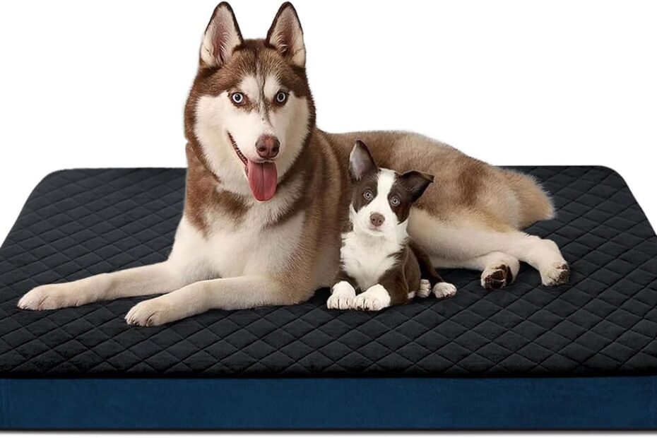 Comfort Redefined: The JoicyCo Jumbo XL Dog Bed Review for Extra Large Dogs