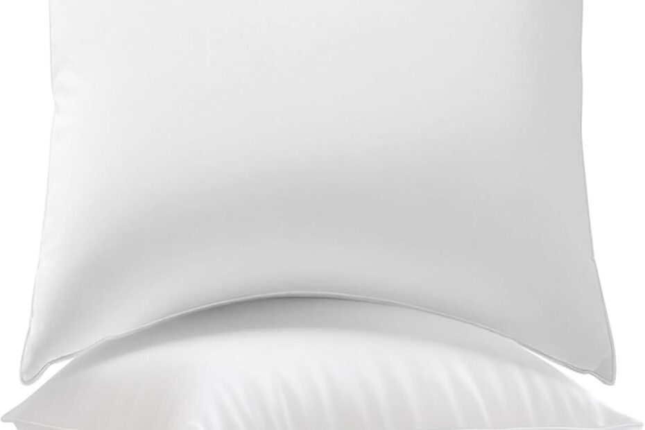 Elevate Your Décor: Reviews of the Soft & Fluffy 20x20 Pillow Inserts!