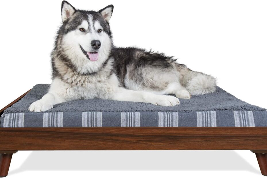 Elevate Your Pup's Comfort: Furhaven Mid-Century Dog Bed Review