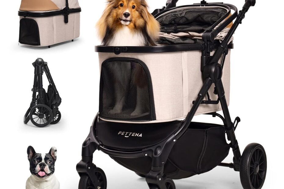 Explore the Comfort: Top Pet Stroller for Easy Travels with Small & Medium Dogs!