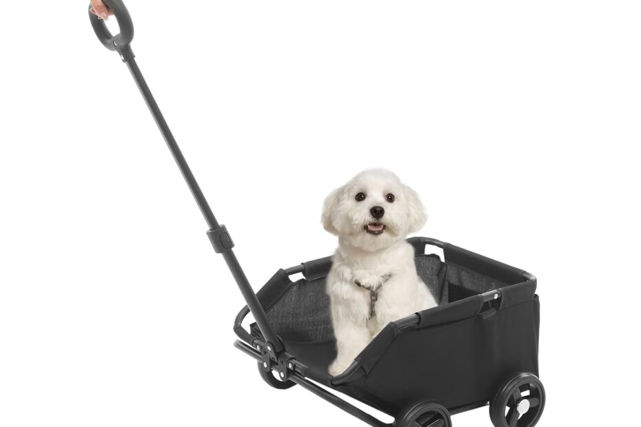 Explore the World in Comfort: Review of the Collapsible Dog Stroller for Small Pets