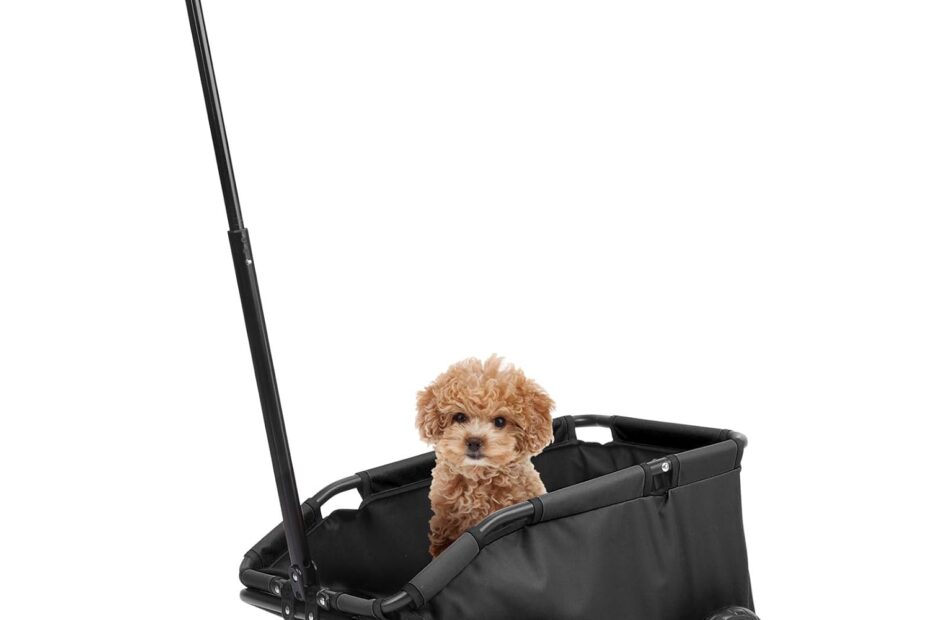 Explore with Ease: The Ultimate Dog Stroller for Small Pets