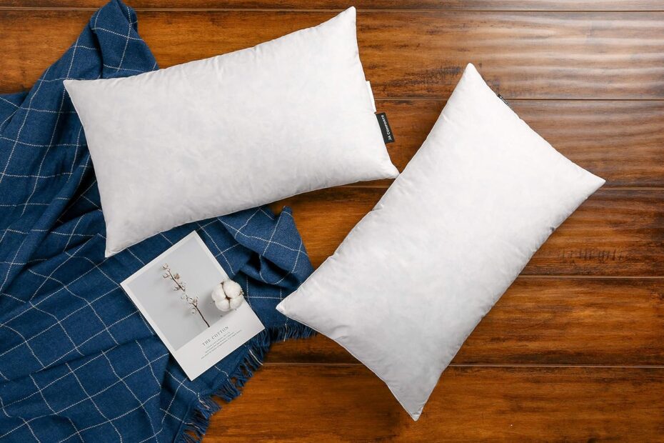 Fluff Up Your Space: JA COMFORTS Goose Down Throw Pillow Inserts Review