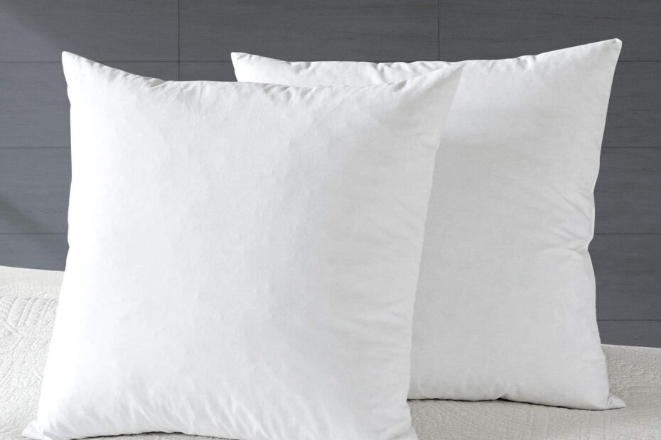 Fluff Up Your Space: Review of APSMILE Organic Feather Down Pillow Inserts