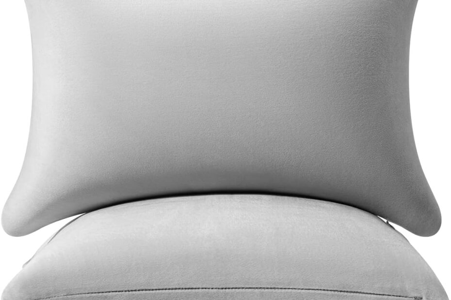 Revitalize Your Space: AM AEROMAX Memory Foam Lumbar Support Pillow Inserts Review