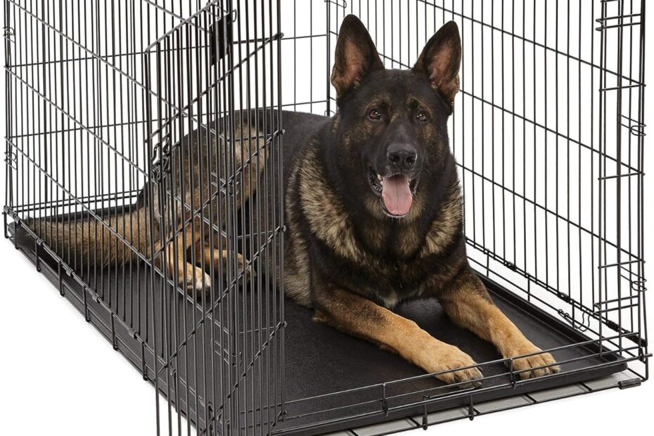 The Ultimate Comfort: MidWest Homes XL Dog Crate Review