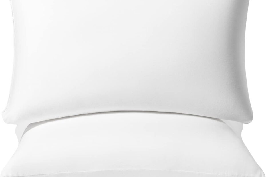 Transform Your Comfort: AM AEROMAX Memory Foam Lumbar Support Pillow Review