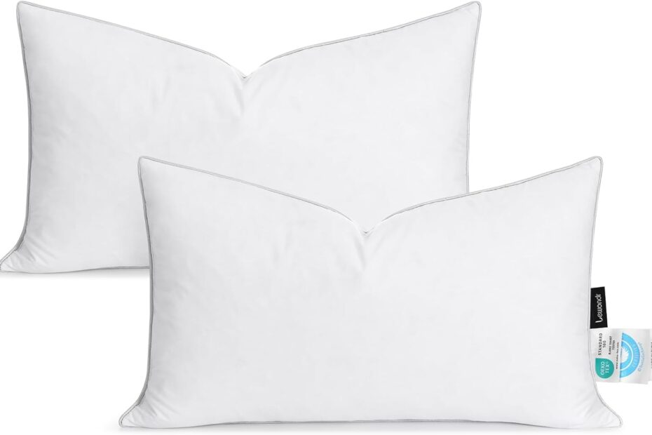 Transform Your Space: Lewondr Premium 12x20 Pillow Inserts Review