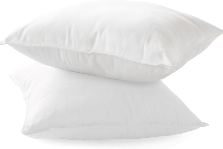 Transform Your Space: Review of Elegant Comfort 20x20 Throw Pillow Inserts