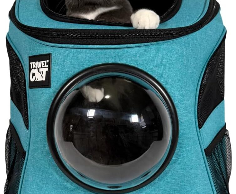 Travel in Style: The Ultimate Review of the Fat Cat Backpack Carrier for Adventurous Cats!