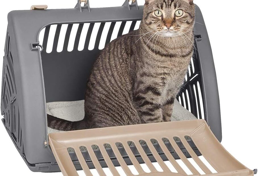 Travel Smart: The Ultimate Review of SportPet Designs Foldable Cat Carrier