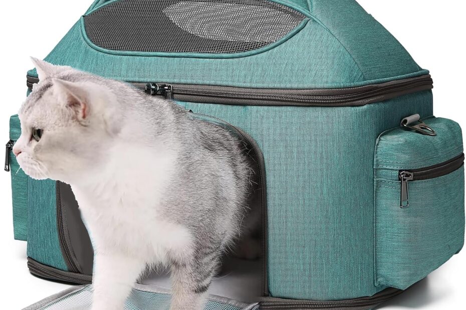 Ultimate Comfort: Review of the Halinfer Large Cat & Puppy Travel Carrier