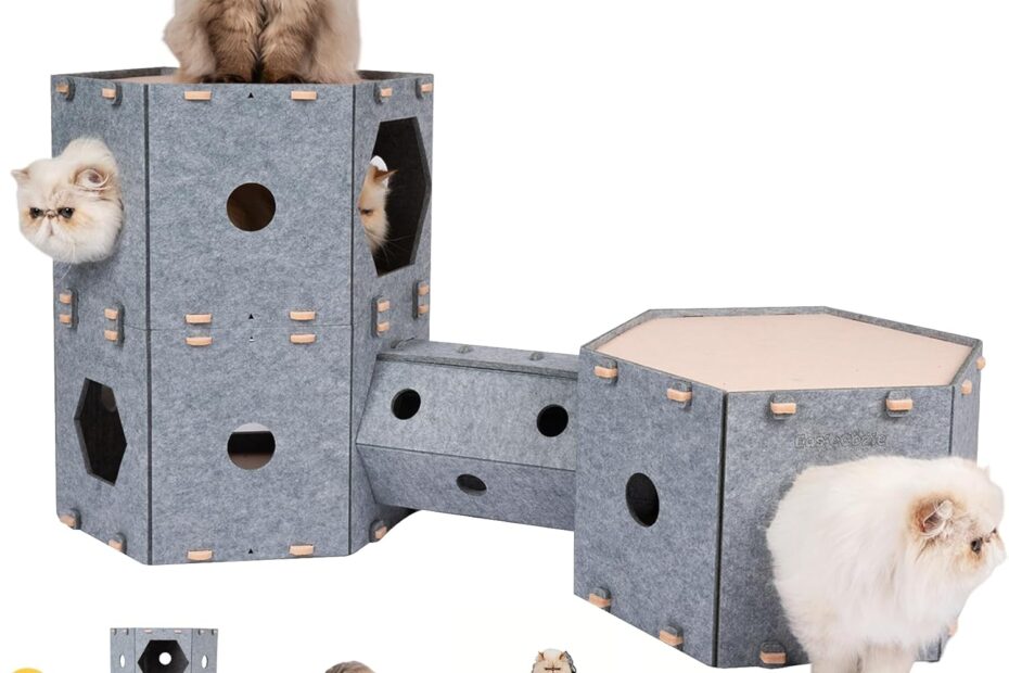 Ultimate Comfort: Review of the Modular Large Cat House for Happy Pets